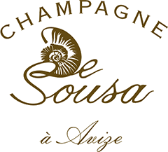 ド・スーザ<BR>De Sousa