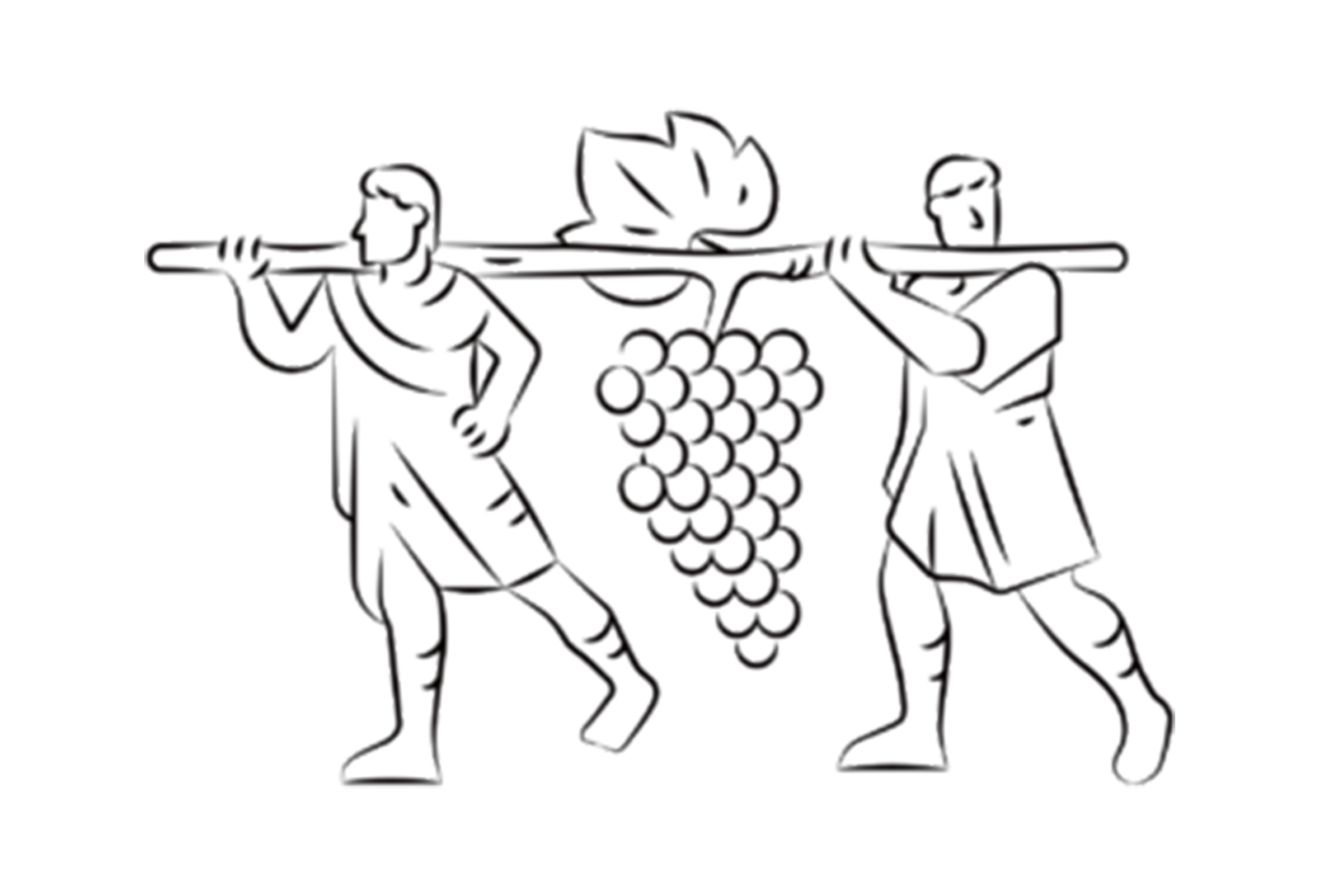 ドメーヌ・ブノワ・アント<br>Domaine Benoît Ente